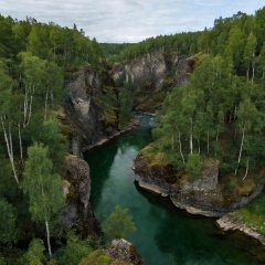 Deep green river canyon near Alta surrounded by birch forest